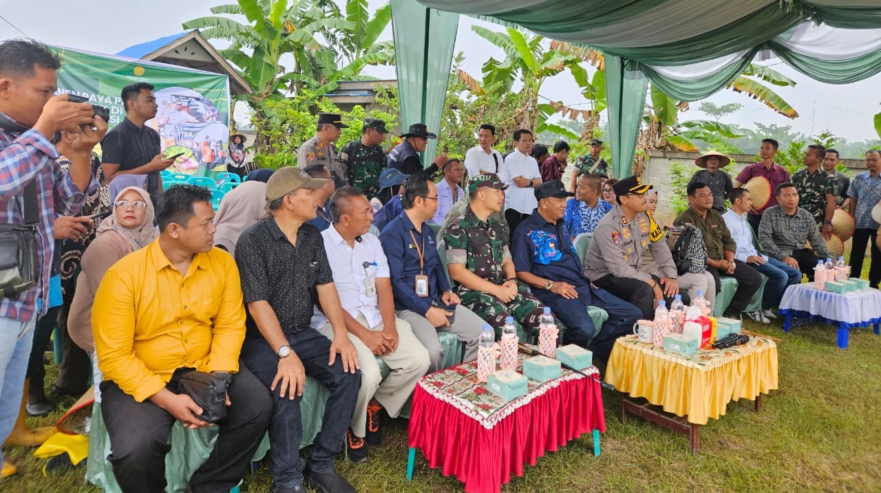 Panen Raya