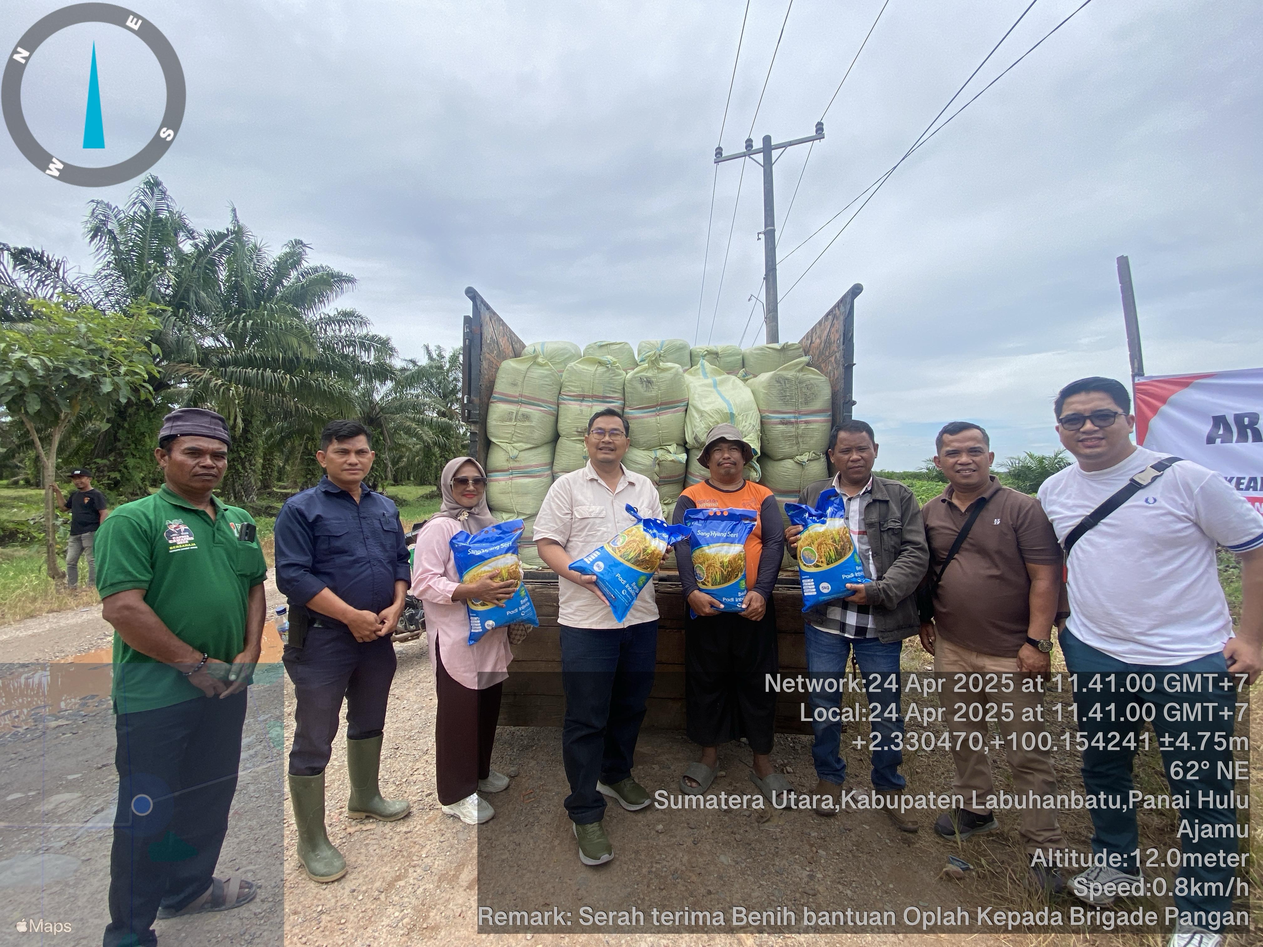 pembagian benih labuhanbatu