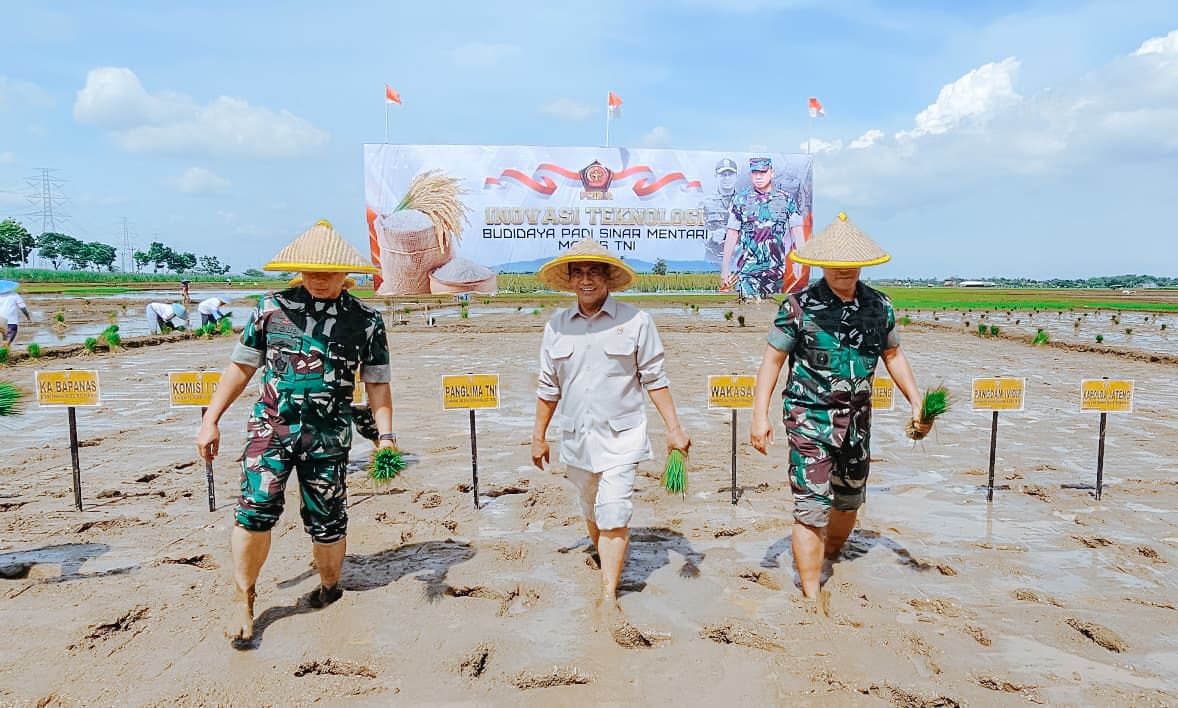 swasembada pangan tni
