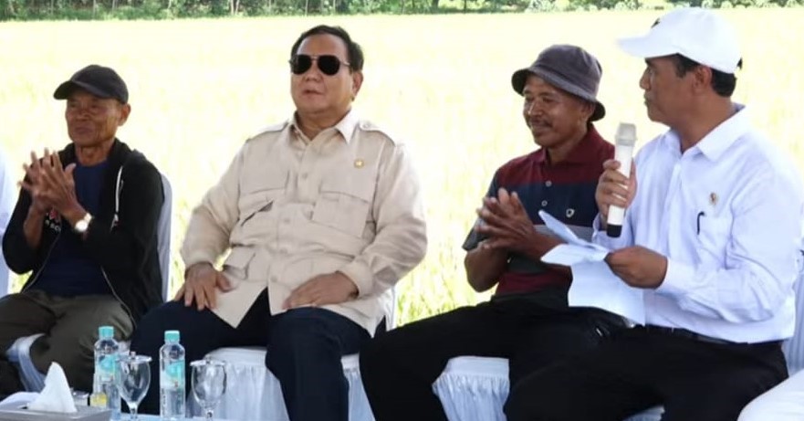 Panen Raya